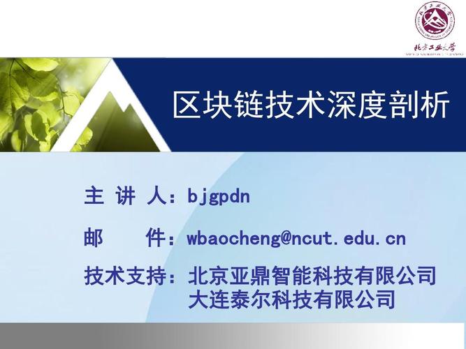 区块链技术深度剖析 从原理到应用的全景解读